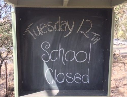 School Closed Tuesday 12th November 2019.